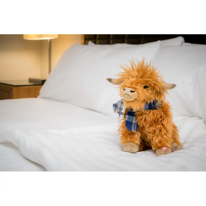 limited-edition-hairy-coo-hector-with-tartan-scarf-1.webp